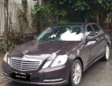 Mercedes-Benz E class E300 2012 - Bán Mercedes E300 đời 2012, màu nâu