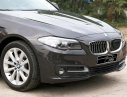 BMW 1 2017 - Cần bán BMW 1 đời 2017, màu nâu, nhập khẩu