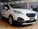 Peugeot 3008 2015 - Cơ hội mua xe Peugeot 3008 với giá ưu đãi nhất trong năm