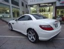 Mercedes-Benz SLK class SLK350 AMG 2014 - Xe Mercedes SLK350 AMG đời 2014, màu trắng, nhập khẩu nguyên chiếc số tự động