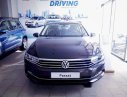 Volkswagen Passat Bluemotion 2018 - Bán Volkswagen Passat Bluemotion đời 2018, nhập khẩu