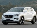 Hyundai Tucson 2.0 AT 2WD 2017 - Hyundai Tucson 2.0 AT FWD full xăng - Ưu đãi lên đến 90 triệu, hỗ trợ vay 80% - LH: 0911899459