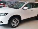 Nissan X trail SV 2017 - Xả hàng cuối năm, - X-Trail giá cực tốt, liên hệ 0942.117.394