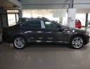 Volkswagen Passat Blue Motion 2017 - Bán Volkswagen Passat Blue Motion 2017, nhập khẩu Mỹ, màu xám