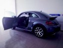 Volkswagen New Beetle DUNE 2017 - Con bọ Beetle Dune 2018 số lượng giới hạn toàn quốc, màu xám (ghi), nhập khẩu