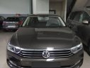 Volkswagen Passat Blue Motion 2017 - Bán Volkswagen Passat Blue Motion 2017, nhập khẩu Mỹ, màu xám