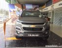 Chevrolet Colorado 2018 - Cần bán xe Chevrolet Colorado đời 2018, màu xám, nhập khẩu chính hãng, giá 624tr