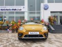 Volkswagen New Beetle AT 2017 - Bán Volkswagen New Beetle năm 2017, màu xám (ghi), xe nhập