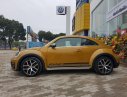 Volkswagen New Beetle AT 2017 - Bán Volkswagen New Beetle năm 2017, màu xám (ghi), xe nhập