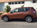 Nissan X trail 2017 - Cần bán Nissan X trail đời 2017, màu nâu vàng