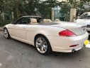 BMW 6 Series 2007 - Bán BMW 6 Series đời 2007 số tự động, giá 970tr