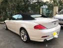 BMW 6 Series 2007 - Bán BMW 6 Series đời 2007 số tự động, giá 970tr