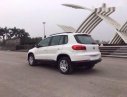 Volkswagen Tiguan 2012 - Bán Volkswagen Tiguan đời 2012, màu trắng, nhập khẩu nguyên chiếc, giá chỉ 780 triệu