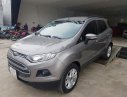 Ford EcoSport AT 2014 - Bán Ford EcoSport AT đời 2014, màu xám 