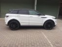 LandRover Evoque Dynamic  2014 - Bán ô tô LandRover Evoque Dynamic 2014, màu trắng nóc đen, xe nhập