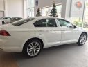 Volkswagen Passat 2017 - Cần bán Volkswagen Passat đời 2017, màu trắng, nhập khẩu nguyên chiếc