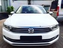 Volkswagen Passat 2017 - Cần bán Volkswagen Passat đời 2017, màu trắng, nhập khẩu nguyên chiếc