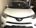 Toyota RAV4 2017 - Cần bán xe Toyota RAV4 đời 2017, màu trắng, nhập khẩu