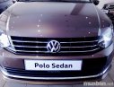 Volkswagen Polo 2017 - Bán xe Volkswagen Polo đời 2017, màu nâu, xe nhập, giá tốt