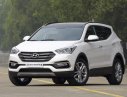 Hyundai Santa Fe 2017 - Bán xe Hyundai Santa Fe đời 2017, màu trắng, nhập khẩu chính hãng