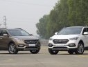 Hyundai Santa Fe 2017 - Bán xe Hyundai Santa Fe đời 2017, màu trắng, nhập khẩu chính hãng