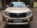 Toyota Land Cruiser Prado 2010 - Cần bán gấp Toyota Land Cruiser Prado đời 2010, màu vàng, nhập khẩu nguyên chiếc