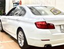 BMW 528i 2013 - Bán BMW 528i đời 2013, màu trắng, xe nhập, số tự động