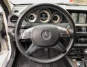 Mercedes-Benz C class C250  2014 - Cần bán gấp Mercedes C250 năm 2014, màu bạc, xe nhập