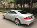 Mercedes-Benz CLS class  CLS 300  2010 - Chính chủ bán xe Mercedes CLS 300 năm sản xuất 2010, màu bạc, nhập khẩu