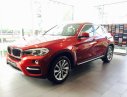 BMW X6   2017 - Bán BMW X6 2017, màu đỏ, nhập khẩu