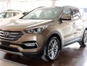 Hyundai Santa Fe 2.4 DATH 2018 - Bán Hyundai Santafe 2.2 máy dầu 7 chỗ, mới 100%, đời 2018. Hỗ trợ trả góp với mức ưu đãi hấp dẫn