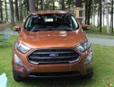 Ford EcoSport 2018 - Bán xe Ford EcoSport (xe mới nhất), giá xe chưa giảm. Hotline báo giá xe Ford (miễn phí): 093.114.2545