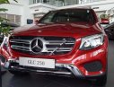 Mercedes-Benz Smart 250 4Matic 2017 - Bán xe Mercedes 250 4Matic năm 2017, màu đỏ