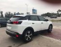 Peugeot 3008 1.6AT 2018 - Bán Peugeot 3008 1.6AT đời 2018, màu trắng