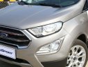 Ford EcoSport Titanium 2018 - Bán Ford Ecosport Titanium 2019, đủ màu, hỗ trợ trả góp lên tới 90% giá trị xe, vui lòng liên hệ Mr Trung 0967664648. Giao xe ở Hưng Yên