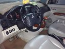 Mitsubishi Grandis 2.4 AT 2005 - Cần bán xe Mitsubishi Grandis sản xuất 2005, màu trắng, giá chỉ 380 triệu