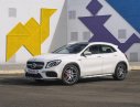 Mercedes-Benz GLA-Class GLA 45 AMG 2018 - Bán Mercedes AMG GLA 45 - Xe SUV Sport - liên hệ đặt xe: 0919 528 520