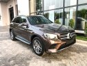Mercedes-Benz Smart GLC 300 4MATIC 2018 - Bán xe Mercedes GLC 300 4MATIC màu nâu giá tốt. Giao xe ngay