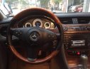 Mercedes-Benz CLS class 300 2009 - Bán Mercedes CLS 300 2009, màu bạc, xe nhập, 890tr