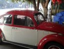 Volkswagen Beetle   1990 - Bán Volkswagen Beetle sản xuất 1990, hai màu, nhập khẩu 