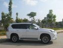 Lexus GX 460 2015 - Cần bán xe Lexus GX 460 sản xuất năm 2015, màu trắng, nhập khẩu nguyên chiếc