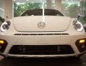 Volkswagen Beetle Dune   2017 - Bán ô tô Volkswagen Beetle Dune 2017, màu trắng, nhập khẩu