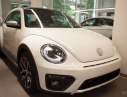 Volkswagen Beetle Dune   2017 - Bán ô tô Volkswagen Beetle Dune 2017, màu trắng, nhập khẩu