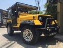 Jeep Wrangler MT 1989 - Bán Jeep Wrangler MT năm 1989, màu vàng