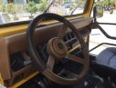 Jeep Wrangler MT 1989 - Bán Jeep Wrangler MT năm 1989, màu vàng