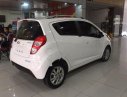 Chevrolet Spark LT 1.0 MT 2013 - Salon bán Chevrolet Spark LT năm 2013, màu trắng