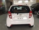 Chevrolet Spark LT 1.0 MT 2013 - Salon bán Chevrolet Spark LT năm 2013, màu trắng