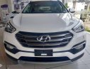 Hyundai Santa Fe 2018 - Cần bán Hyundai Santa Fe năm sản xuất 2018, màu trắng