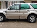 Ford Escape 2.3 XlS 2009 - Bán xe Ford Escape 2.3 XlS sản xuất 2009, màu vàng, nhập khẩu