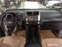 Toyota Prado 2010 - Bán Toyota Prado đời 2010, màu đen